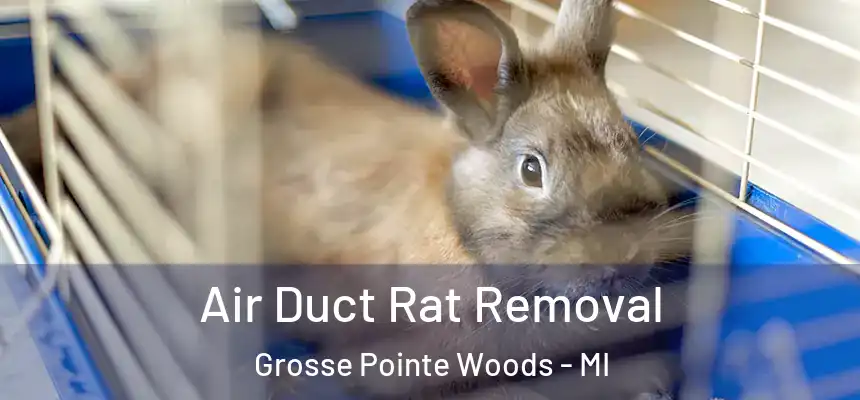  Air Duct Rat Removal Grosse Pointe Woods - MI
