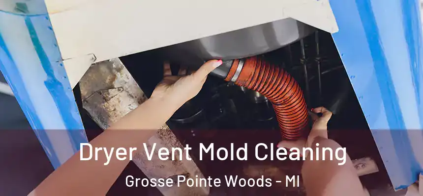  Dryer Vent Mold Cleaning Grosse Pointe Woods - MI