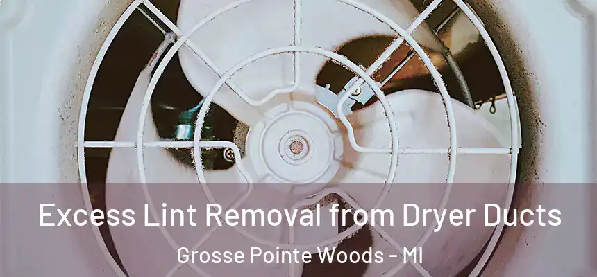 Excess Lint Removal from Dryer Ducts Grosse Pointe Woods - MI
