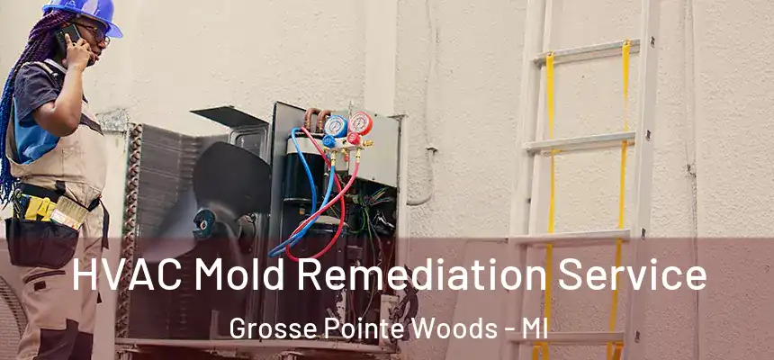 HVAC Mold Remediation Service Grosse Pointe Woods - MI