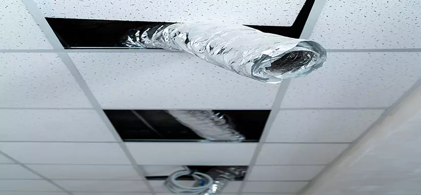 Our Air Duct Pet Hair Removal Services in Grosse Pointe Woods, MI