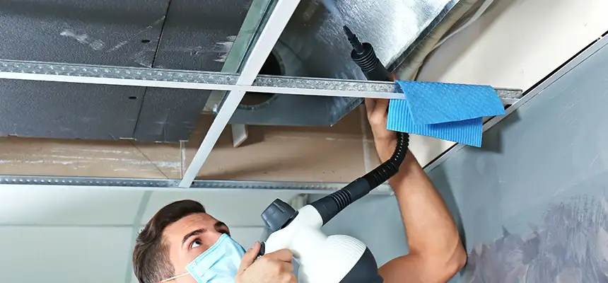 Our Air Duct Rodent Removal Services in Grosse Pointe Woods, MI