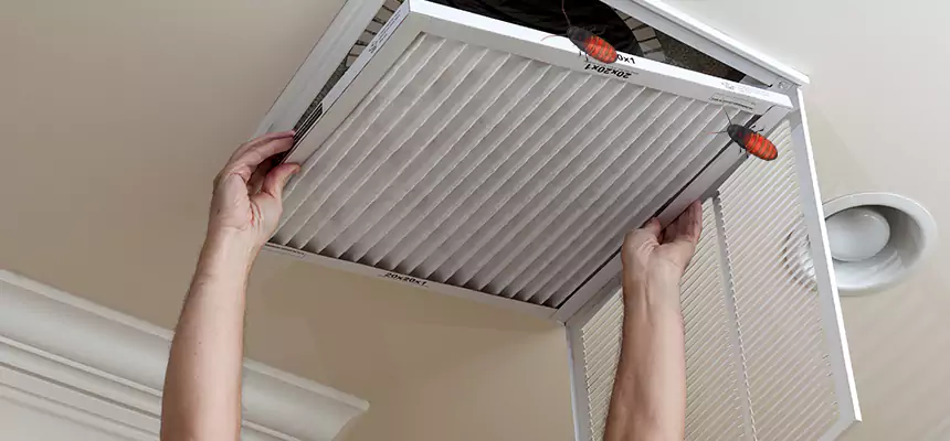 Our Insect Removal from Air Ducts Services in Grosse Pointe Woods, MI