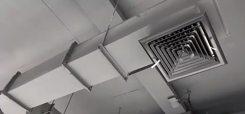 Our Pest Removal From Ducts Services in Grosse Pointe Woods, MI