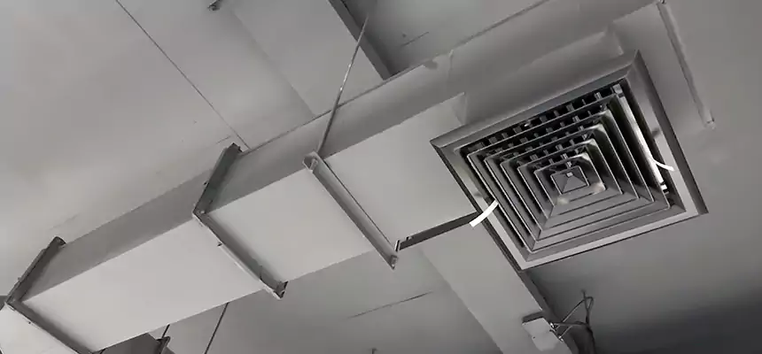 Our Rodent Droppings In Vents Services in Grosse Pointe Woods, MI