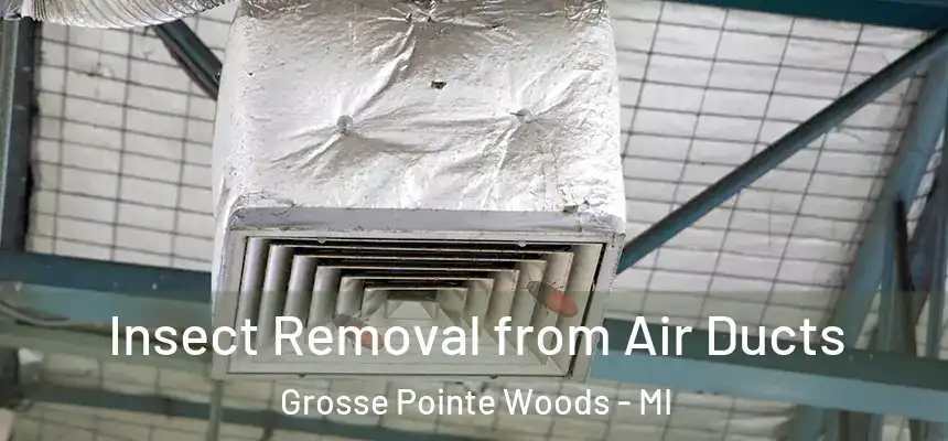  Insect Removal from Air Ducts Grosse Pointe Woods - MI