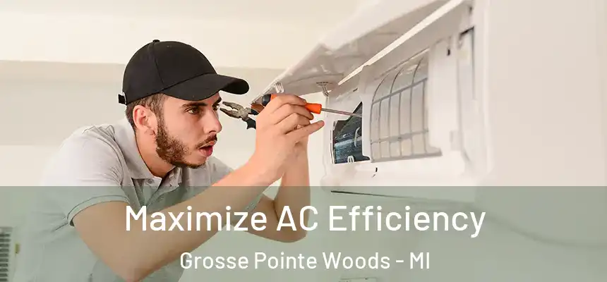 Maximize AC Efficiency Grosse Pointe Woods - MI