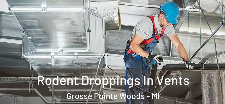  Rodent Droppings In Vents Grosse Pointe Woods - MI