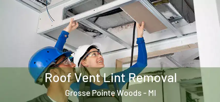  Roof Vent Lint Removal Grosse Pointe Woods - MI