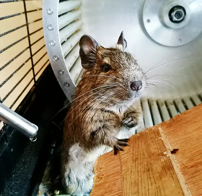 Why Homeowners & Businesses Trust Us Grosse Pointe Woods, MI?